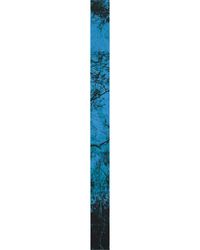 Landscape Plank (Still Glides The Stream and Shall Forever Glide) by Gary Carsley contemporary artwork sculpture