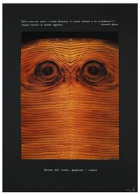 Eye of the tree trunk Eye of the double tree trunk = Owl Objet signifié by Mirella Bentivoglio contemporary artwork works on paper, photography