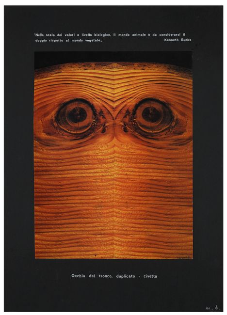 Eye of the tree trunk Eye of the double tree trunk = Owl Objet signifié by Mirella Bentivoglio contemporary artwork