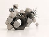 Barnacles by Leelee Chan contemporary artwork 3