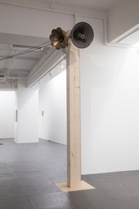 The Thin Black Line by Richard Streitmatter-Tran contemporary artwork installation