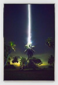 Talking to Thunder (Palm tree) by Julius von Bismarck contemporary artwork print