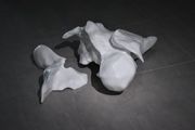 bones #1 by Yuma Kishi（岸 裕真） contemporary artwork 3