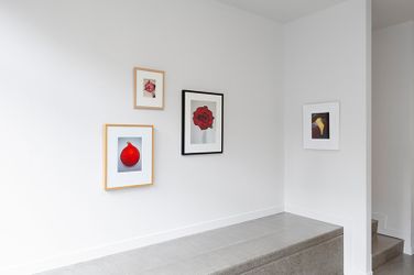 Exhibition view: Peter Peryer, Colour, Hamish McKay, Wellington (13 August–3 September 2022). Courtesy Hamish McKay.