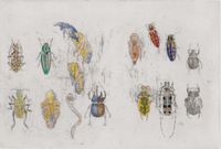 101 Insect Life Stories No 40. Coleoptera by John Wolseley contemporary artwork print