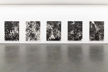 Exhibition view: Kang Kyung-koo, Density 숲, Wooson Gallery, Daegu (9 June–8 September 2022). Courtesy Wooson Gallery.