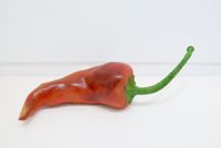 Chili Pepper by Fay Ming contemporary artwork sculpture