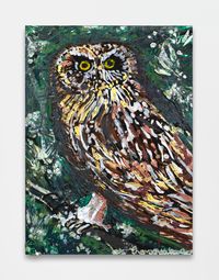 Lil Lechuza Owl by Thomas Houseago contemporary artwork painting