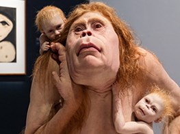 Patricia Piccinini Artist Profile Exhibitions Artworks Ocula