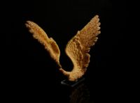 Gold Wings 2 by Suzann Victor contemporary artwork mixed media