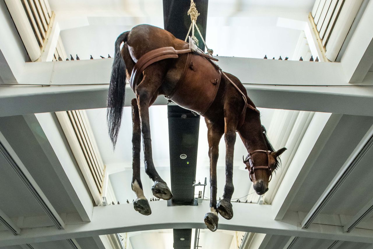 Maurizio Cattelan's Art For Sale, Exhibitions & Biography | Ocula