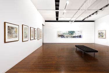 Exhibition view: John Wolseley, One Hundred and One Insect Life Stories, Roslyn Oxley9 Gallery, Sydney (21 March–13 April 2019). Courtesy Roslyn Oxley9 Gallery. Photo: Luis Power