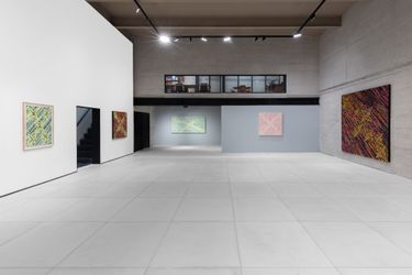 Exhibition view: Ding Yi, Anomalous Galaxies, Galeria RGR, Mexico City (12 February–16 April 2022). Courtesy Galeria RGR.