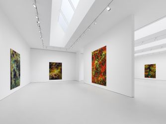 Exhibition view: Thomas Ruff,  d.o.pe, David Zwirner, 19th Street, New York (15 September–22 October 2022). Courtesy David Zwirner.