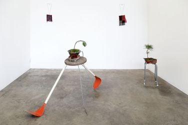 Exhibition view: Group Exhibition, The Opal Dealers Wife, Jonathan Smart Gallery, Christchurch (12 April–4 May 2024). Courtesy Jonathan Smart Gallery.