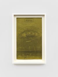 Xerox, Birth by Barbara T. Smith contemporary artwork print