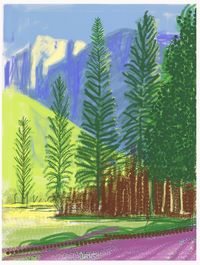 Yosemite No. 12 by David Hockney contemporary artwork drawing