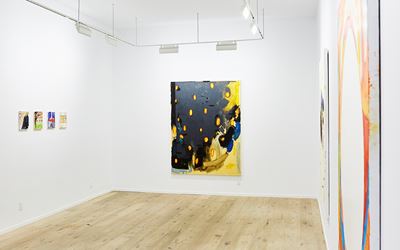 Exhibition view: Bruno Dunley, The Mirror, Galeria Nara Roesler, New York (16 January-24 February 2018). Courtesy Galeria Nara Roesler, New York.