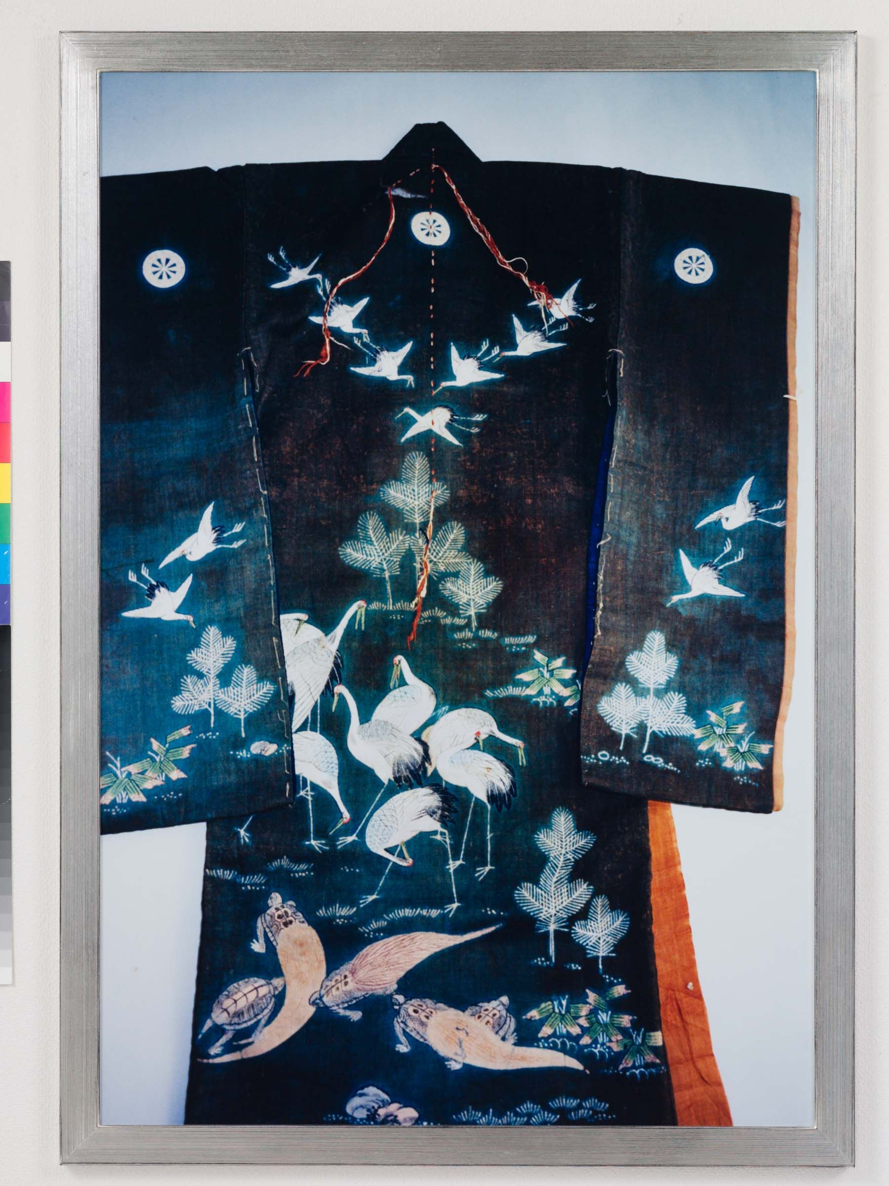 Ishiuchi Miyako Photography as Psychological Event Ocula Conversation