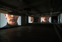 Shooting an Elephant and The Leader by Arin Rungjang contemporary artwork moving image