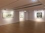 Contemporary art exhibition, Chun-yi Lee, Enriching Steles: Ink Art by Lee Chun-yi 豐碑：李君毅的水墨藝術 at Alisan Fine Arts, Central, Hong Kong