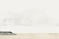 The Lines We Draw III (Towards Alaska) by Robert Zhao Renhui contemporary artwork photography