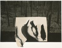 Loon Drawer and Burn Area by John Wood contemporary artwork painting, works on paper, photography, print