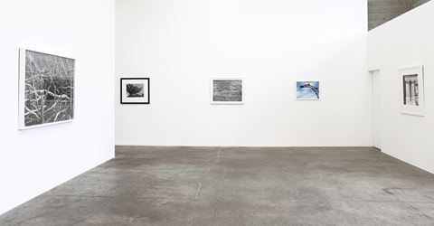 Exhibition view: Peter Peryer, Peter Peryer 2017, Jonathan Smart Gallery, Christchurch (26 April–20 May 2017). Courtesy Jonathan Smart Gallery. 