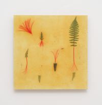Soaring Seedlings by Haegue Yang contemporary artwork painting, mixed media