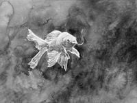 One Fish by Hans Op de Beeck contemporary artwork painting, works on paper