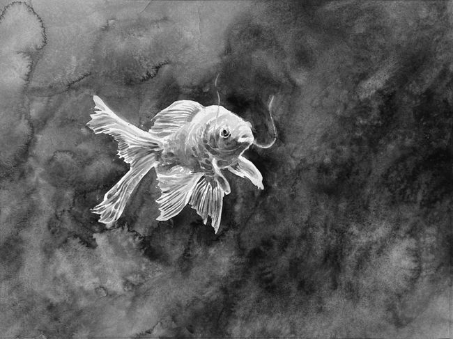 One Fish by Hans Op de Beeck contemporary artwork