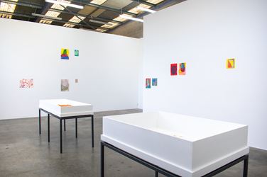 Exhibition view: Brenda Nightingale, Nathan Pohio & Francis Upritchard, 20/20 Rocks, Jonathan Smart Gallery, Christchurch (4 February–7 March 2020). Courtesy Jonathan Smart Gallery.