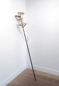Plants - Tus lunares son estrellas by Giovanni Ozzola contemporary artwork sculpture