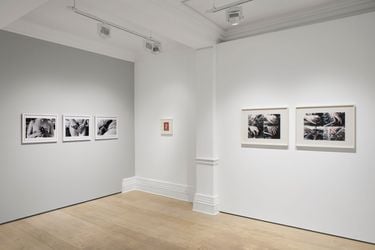 Installation view: Alexis Hunter, 10 seconds, Richard Saltoun Gallery, London (6 February–30 March). Courtesy Richard Saltoun Gallery.