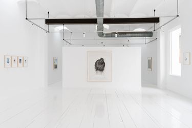 Contemporary art exhibition, Ivan Franco Fraga, One and Three Polaroids at ALZUETA GALLERY, SÉNECA, Spain