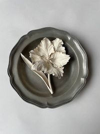 Parrot Tulip by Kaori Tatebayashi contemporary artwork ceramics
