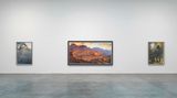 Contemporary art exhibition, Walton Ford, Walton Ford at Gagosian, 555 West 24th Street, New York, United States