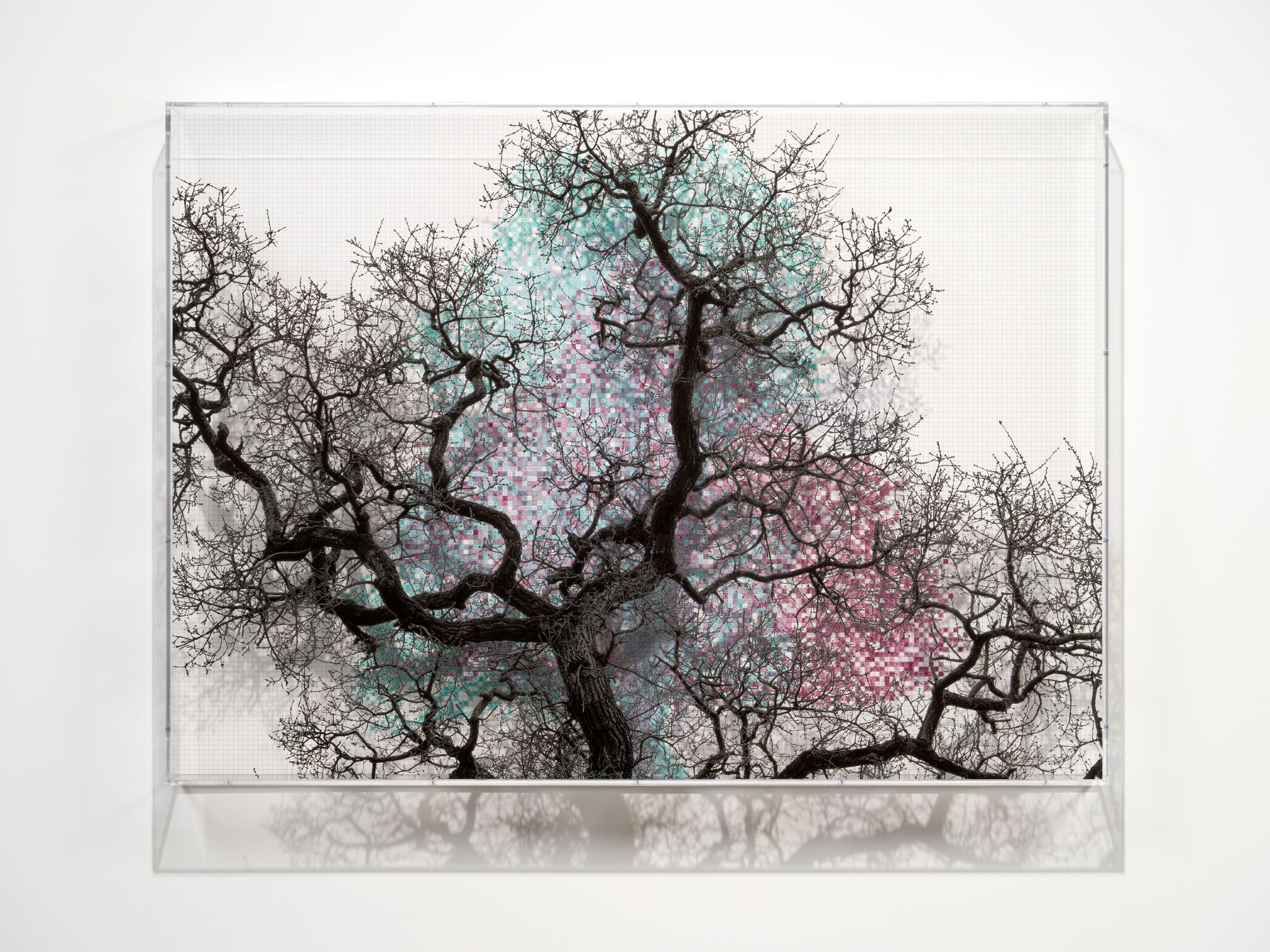 Charles Gaines Biography, Artworks & Exhibitions Ocula Artist