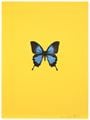 It's a Beautiful Day by Damien Hirst contemporary artwork 1
