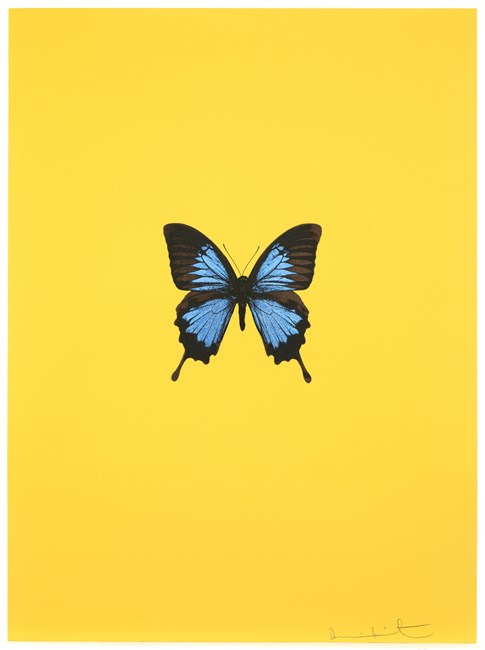 It's a Beautiful Day by Damien Hirst contemporary artwork