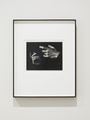 Conductor's Hand by Ruth Bernhard contemporary artwork 2