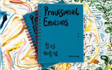 Julia Long: Provisional Emotions