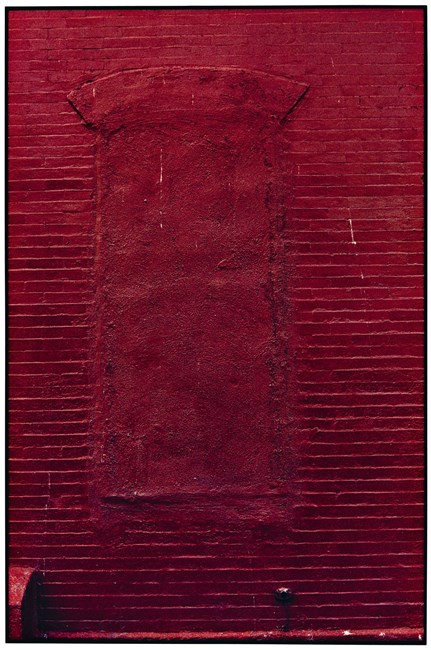 Red Wall by Zoe Leonard contemporary artwork