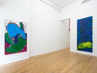 Exhibition view: Sylvia Snowden, Green Paintings, Andrew Kreps, 394 Broadway, New York (13 May–18 June 2022). Courtesy the Artist and Andrew Kreps Gallery, New York and Franklin Parrasch Gallery, New York. Photo: Lance Brewer.