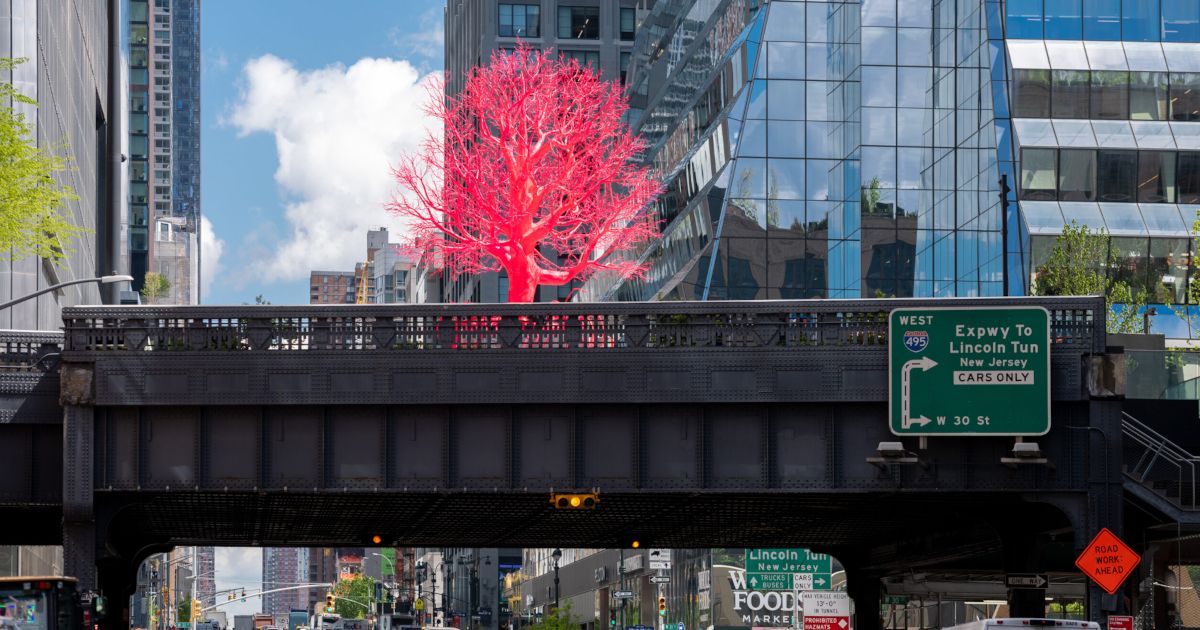 Pamela Rosenkranz's Hot Pink Tree Debuts on the High Line, News