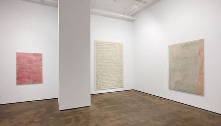 Contemporary art exhibition, Natasza Niedziółka, 273 Days at Sean Kelly, New York, United States