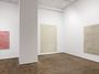 Contemporary art exhibition, Natasza Niedziółka, 273 Days at Sean Kelly, New York, United States