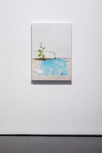 A weed is a plant in the wrong place by Andrew Browne contemporary artwork painting, works on paper