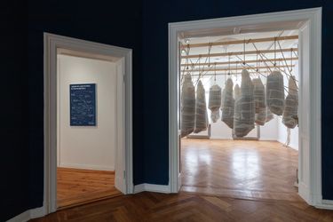 Exhibition view: Itamar Gov, Chemistry and Physics in the Household, Zilberman, Goethestraße, Berlin (27 April–29 July 2023). Courtesy the Artist and Zilberman, Istanbul/Berlin. Photo: Chroma