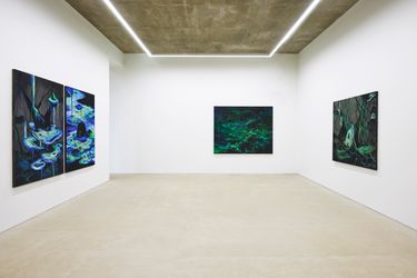 Exhibition view: Juae Park, Rising in the Voids, GALLERY2, Seoul (6 July–5 August 2023). Courtesy GALLERY2.
